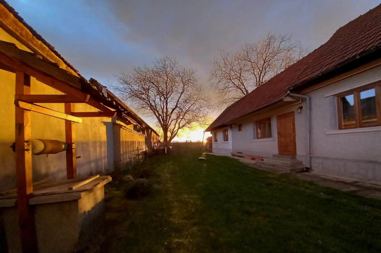Galeria Turismului Montan Pensionat Cîrţişoara Exteriör bild