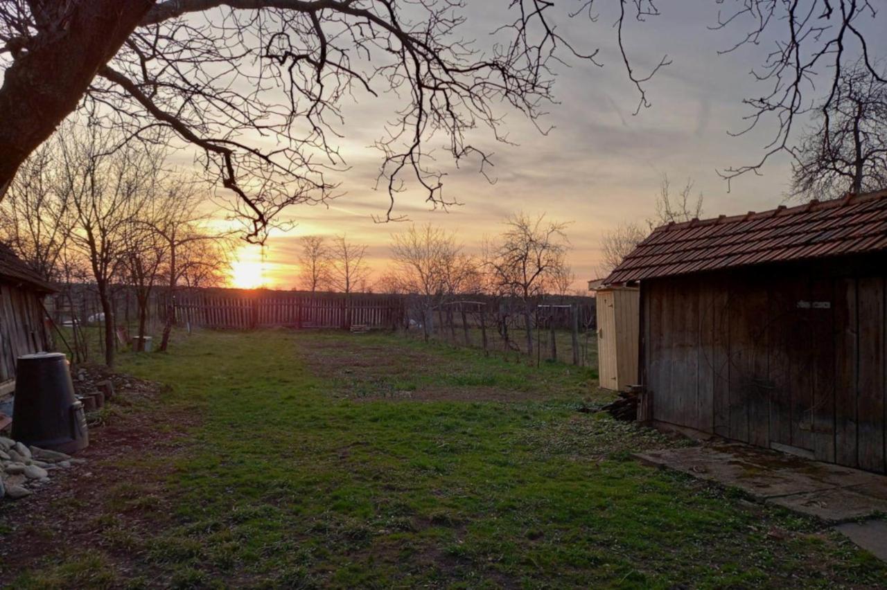 Galeria Turismului Montan Pensionat Cîrţişoara Exteriör bild