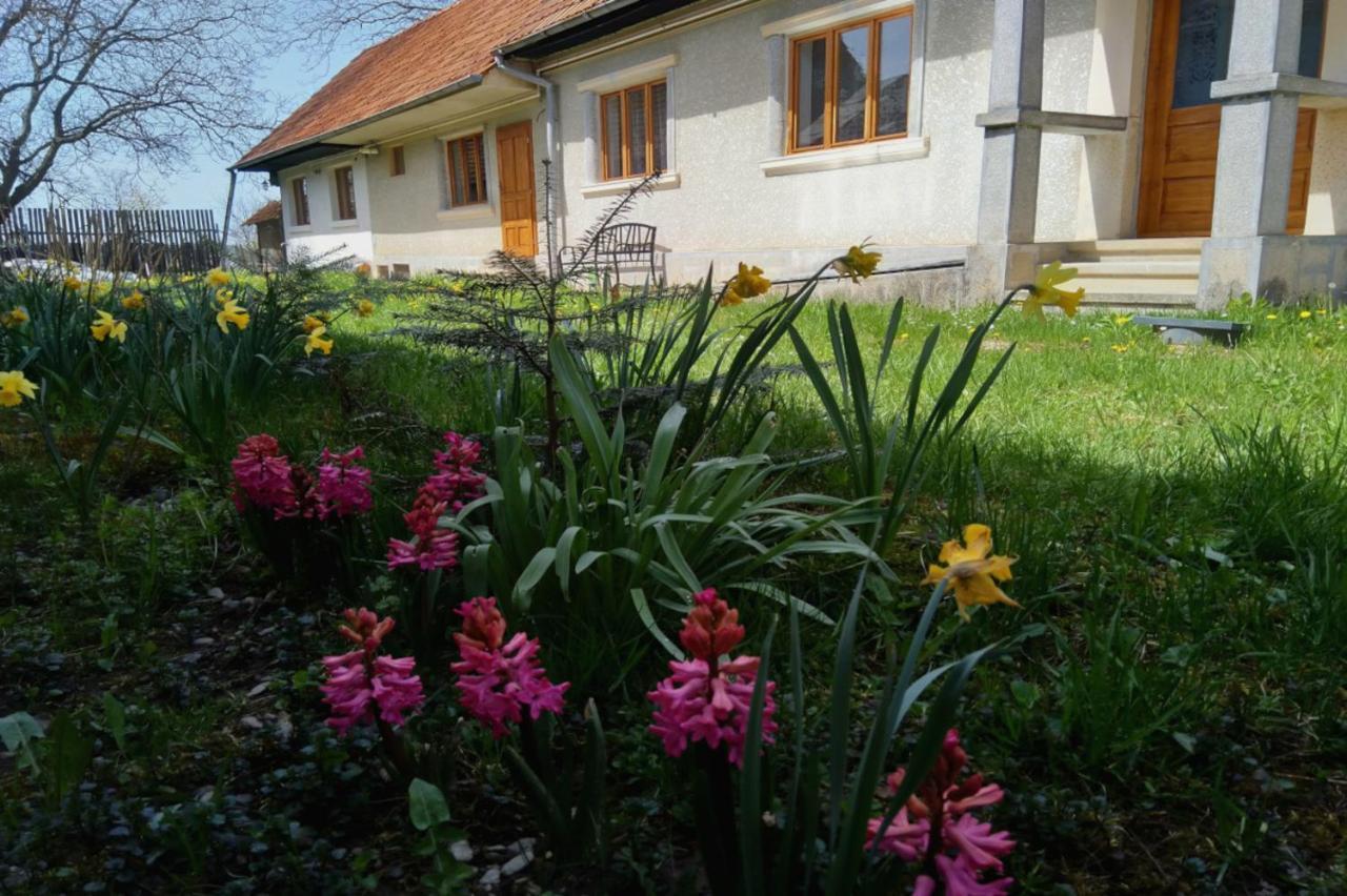 Galeria Turismului Montan Pensionat Cîrţişoara Exteriör bild